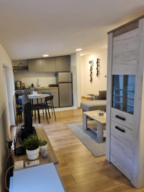 Apartment S